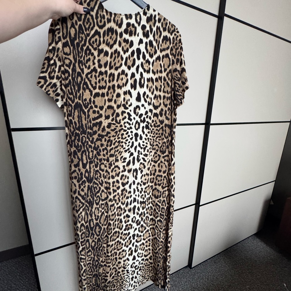 Zara Leopard Print Maxi Dress